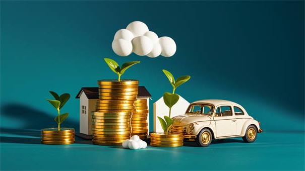 能下款的小额贷款app征信花10月太多真实案例！带您收集5个网贷平台借款人征信已花