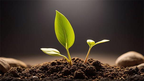 不用芝麻分的贷款20252025年你清楚了吗！今日整理五个借钱口子2025不用芝麻分